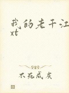我的老千江湖txt封面