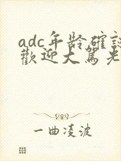 adc年龄确认欢迎大驾光临小说