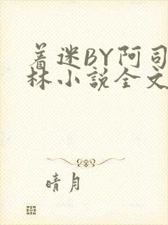 着迷BY阿司匹林小说全文免费阅读封面