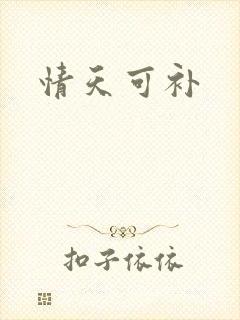 情天可补