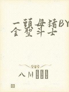 一头母猪BY黄金圣斗士