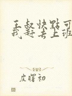 王叔快点可以吗我赶去上班封面