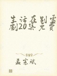 生活在别处电视剧20集免费观看封面