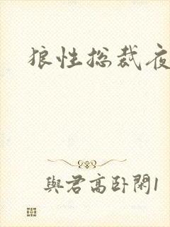 狼性总裁夜欢宠