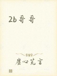 2b哥哥