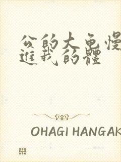 公的大龟慢慢挺进我的体