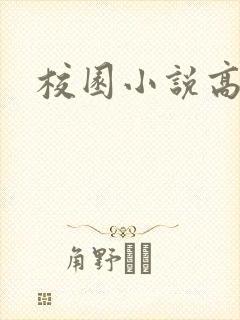 校园小说高h