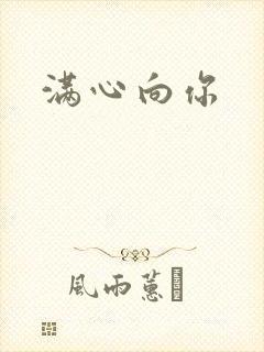 满心向你封面