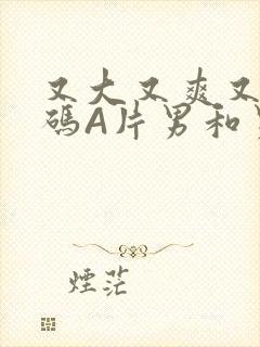 又大又爽又黄无码A片男和男