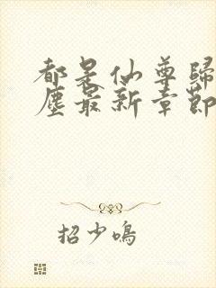 都是仙尊归来洛尘最新章节封面