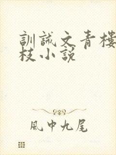 训诫文青楼打花枝小说