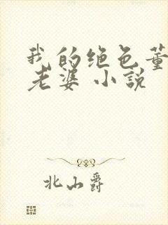 我的绝色董事长老婆 小说