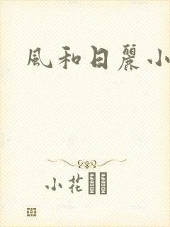 风和日丽小说封面