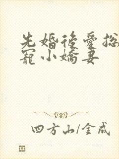 先婚后爱总裁独宠小娇妻封面