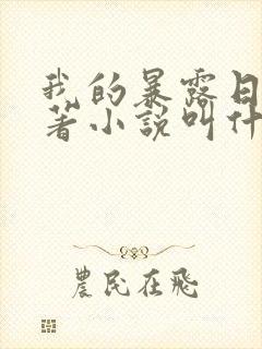 我的暴露日记原著小说叫什么