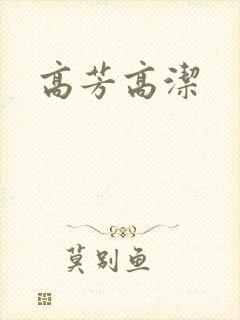 高芳高洁封面