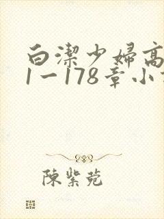 白洁少妇高义第1一178章小说