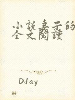 小说妻子的秘密全文阅读