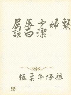 屈辱少妇系列小说白洁封面