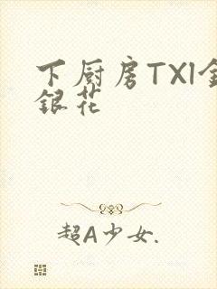 下厨房TXl金银花封面