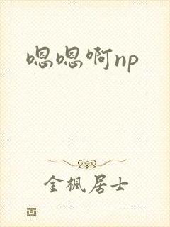 嗯嗯啊np封面