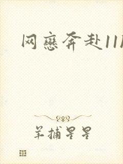 网恋奔赴11h封面