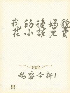 我的后妈貌美如花小说免费阅读