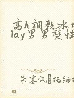 高h调教冰块play男男双性文封面