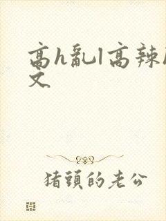 高h乱l高辣h文封面