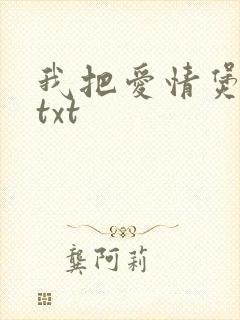 我把爱情煲成汤txt封面