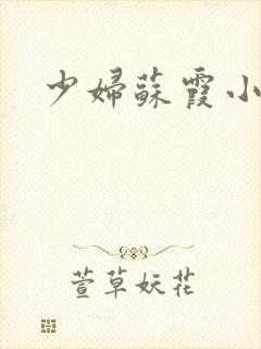 少妇苏霞小说封面