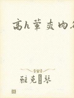 高h荤爽肉欲文