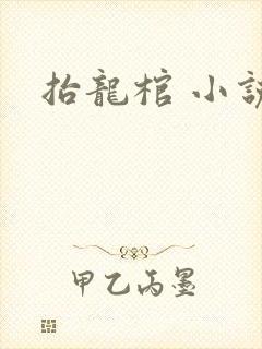 抬龙棺 小说封面