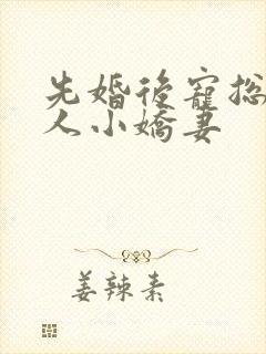 先婚后宠总裁大人小娇妻封面