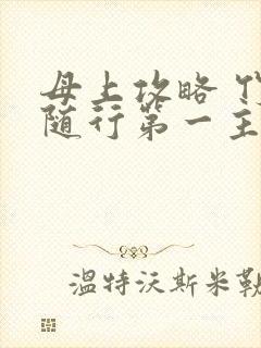 母上攻略 竹影随行第一主板封面