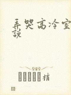 弄哭高冷室友小说