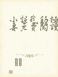 小说我的极品娇妻免费阅读