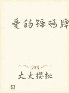 爱的号码牌封面
