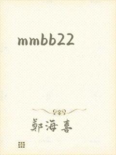 mmbb22封面