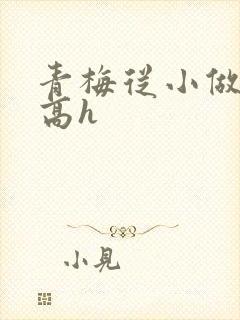青梅从小做到大高h
