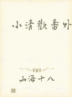 小清欢番外封面