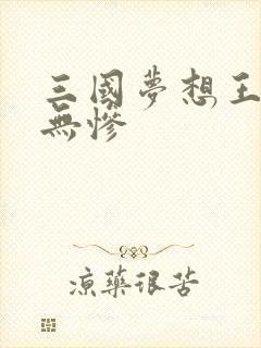 三国梦想王元姬无惨封面