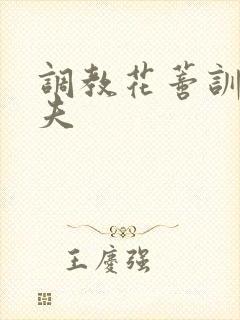 调教花蒂训诫从夫封面