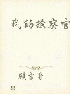 我的检察官先生