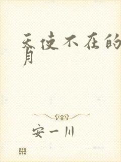 天使不在的12月