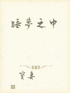 睡梦之中封面
