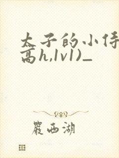 太子的小侍妾(高h,1v1)_