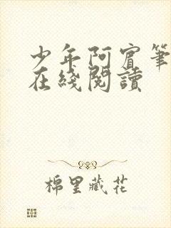 少年阿宾笔趣阁在线阅读