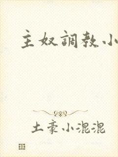 主奴调教小说封面