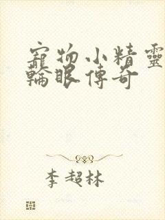 宠物小精灵之写轮眼传奇封面